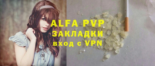 крисы Алзамай
