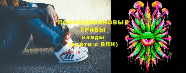крисы Алзамай