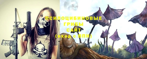 героин Алексин