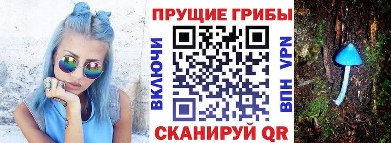 Псилоцибиновые грибы Psilocybine cubensis  где купить наркотик  Чистополь 